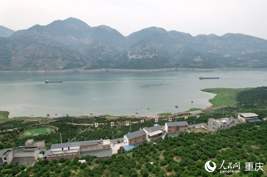 三沱村正以“三峽橙莊”建設(shè)為契機，描繪鄉(xiāng)村振興新圖景。人民網(wǎng)記者 劉政寧攝