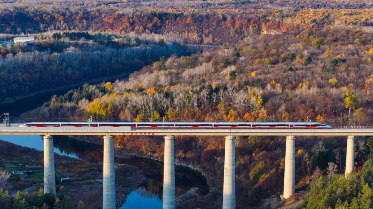 沈白高鐵正式開通運營。受訪方供圖