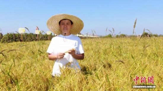 全國人大代表、寧安市渤海鎮(zhèn)上官地村黨支部書記、村委會(huì)主任陳雨佳在稻田中。 受訪者供圖
